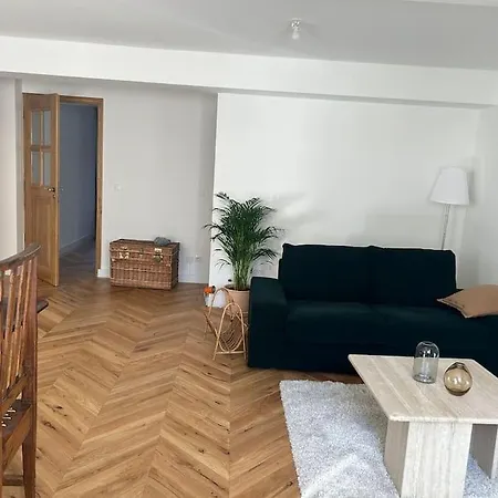 Charming Fully Renovated Flat In Old-town * 페르네이 볼테르
