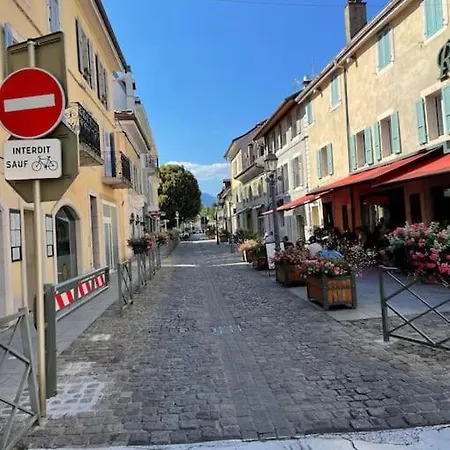 Apartament Charming Fully Renovated Flat In Old-town Ferney-Voltaire
