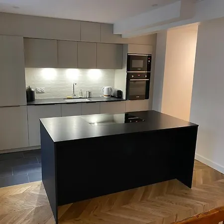 Charming Fully Renovated Flat In Old-town Ferney-Voltaire